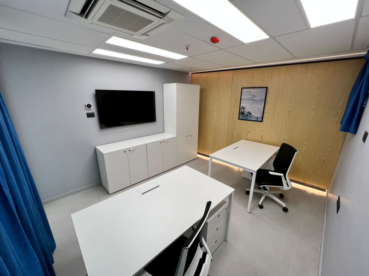 Private office with wooden accent wall